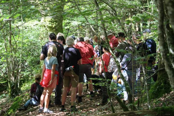 Un bel après midi à St Roch