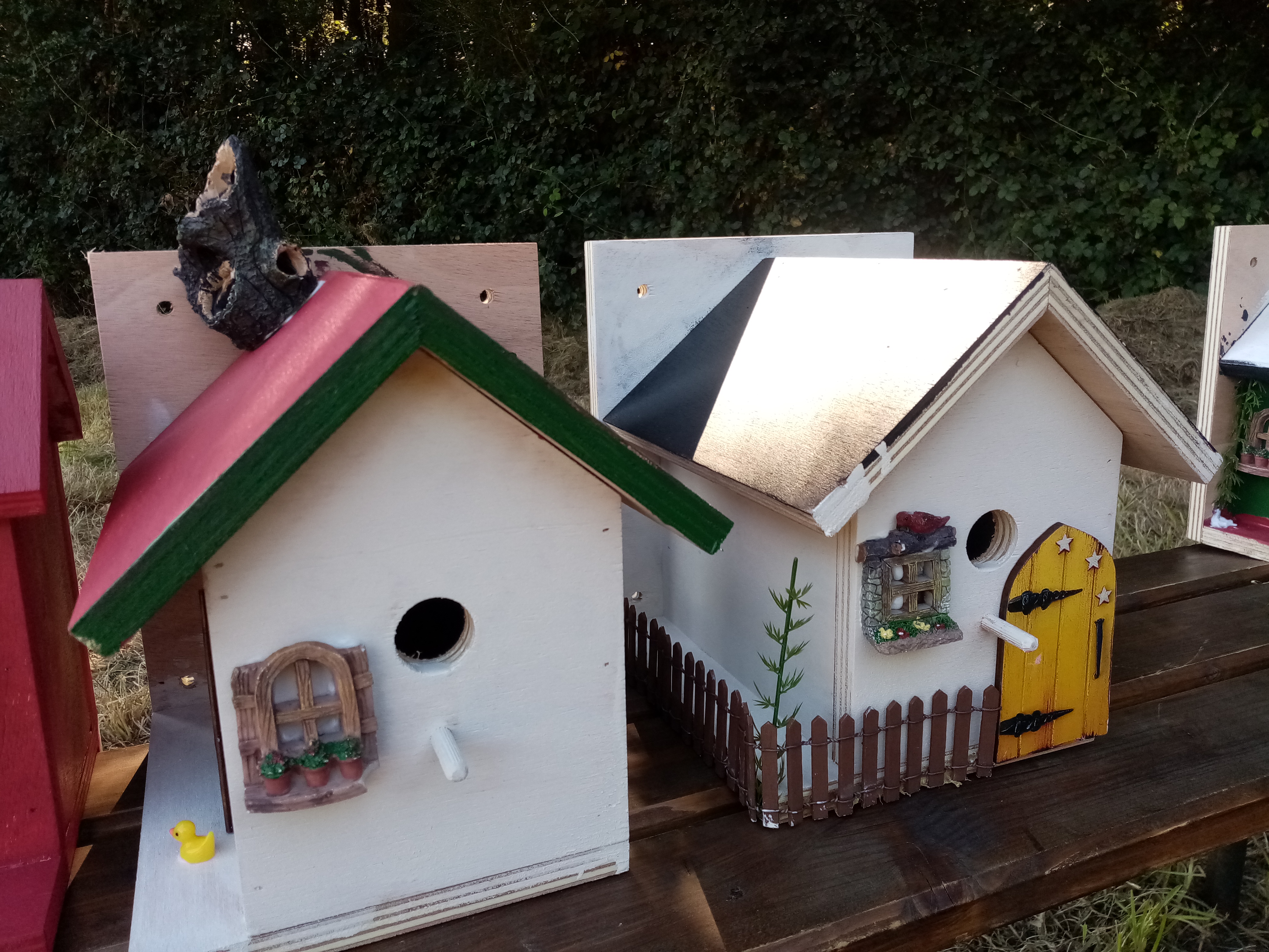 Biodiversité : travaux pratiques