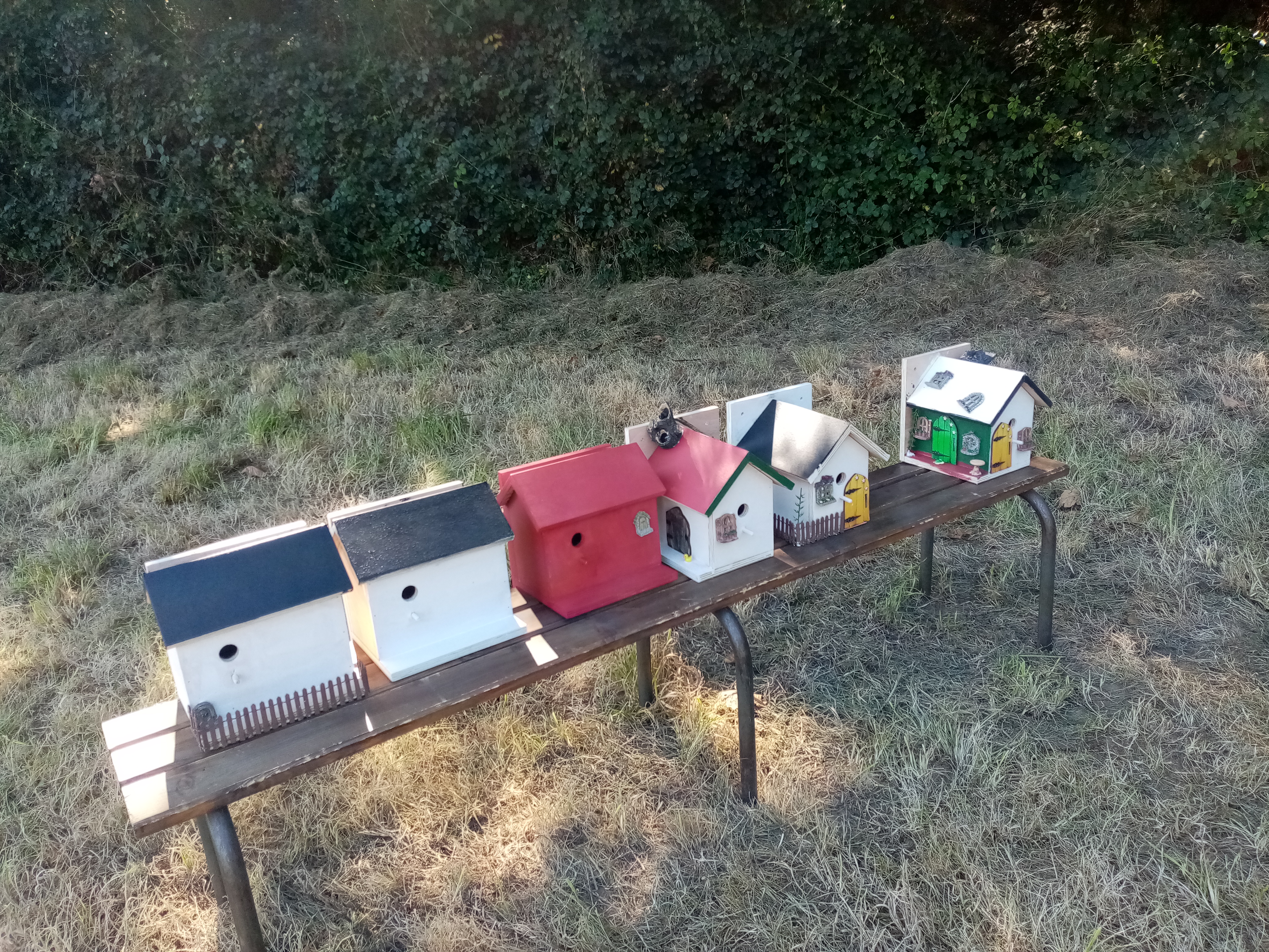 Biodiversité : travaux pratiques